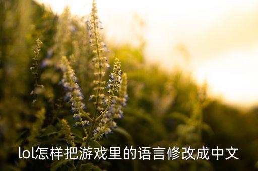 lol怎样把游戏里的语言修改成中文