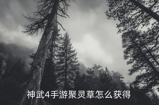 神武4手游聚灵草怎么获得