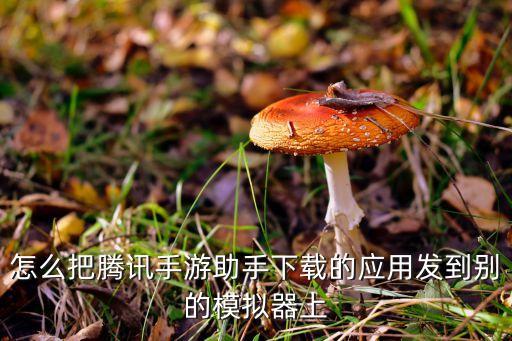 怎么把腾讯手游助手下载的应用发到别的模拟器上