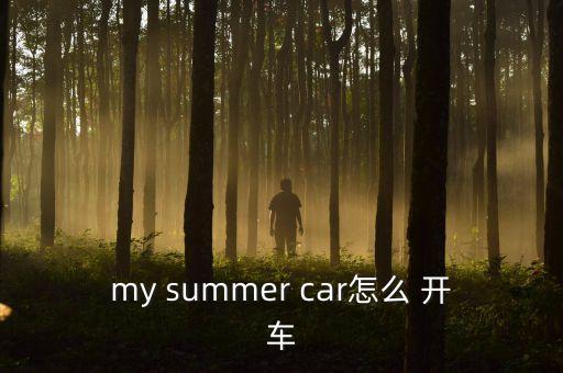 my summer car怎么 开车