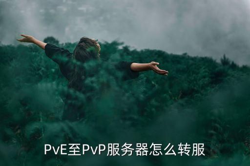 PvE至PvP服务器怎么转服