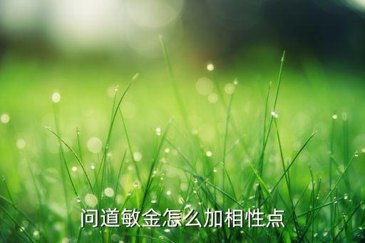 问道敏金怎么加相性点