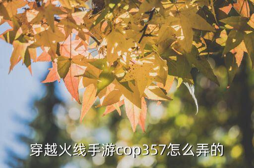 穿越火线手游cop357怎么弄的