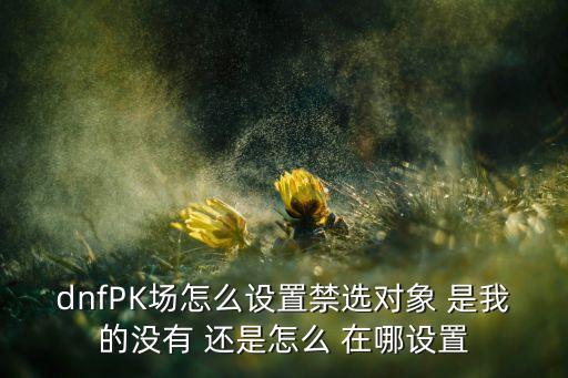 dnfPK场怎么设置禁选对象 是我的没有 还是怎么 在哪设置