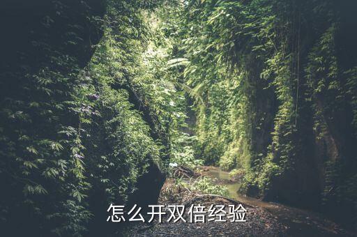 怎么开双倍经验