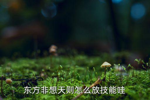 东方非想天则怎么放技能哇