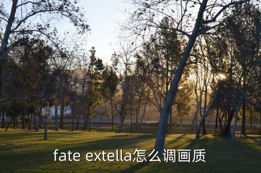 fate extella怎么调画质