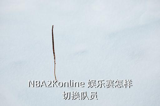 NBA2Konline 娱乐赛怎样切换队员