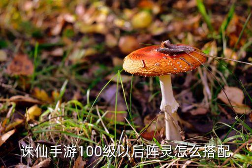 诛仙手游100级以后阵灵怎么搭配