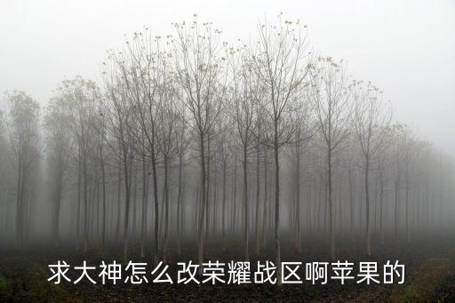 求大神怎么改荣耀战区啊苹果的