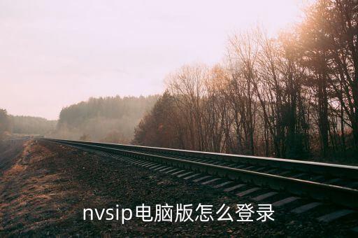 nvsip电脑版怎么登录