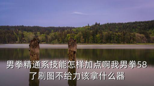 男拳精通系技能怎样加点啊我男拳58了刷图不给力该拿什么器