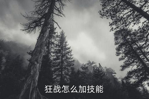 狂战怎么加技能