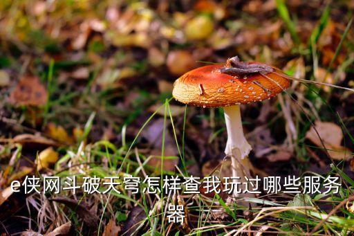 e侠网斗破天穹怎样查我玩过哪些服务器