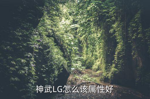 神武LG怎么该属性好