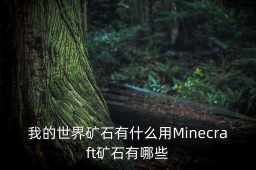 我的世界矿石有什么用Minecraft矿石有哪些