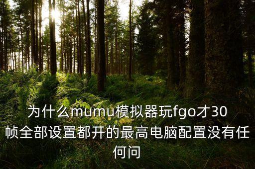 为什么mumu模拟器玩fgo才30帧全部设置都开的最高电脑配置没有任何问