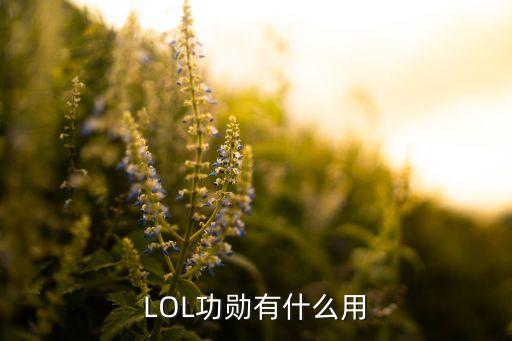 LOL功勋有什么用