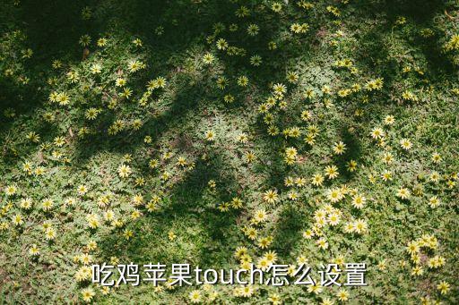 吃鸡苹果touch怎么设置