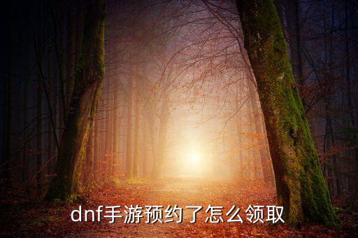 dnf手游预约了怎么领取