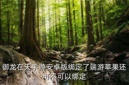 御龙在天手游安卓版绑定了端游苹果还可不可以绑定