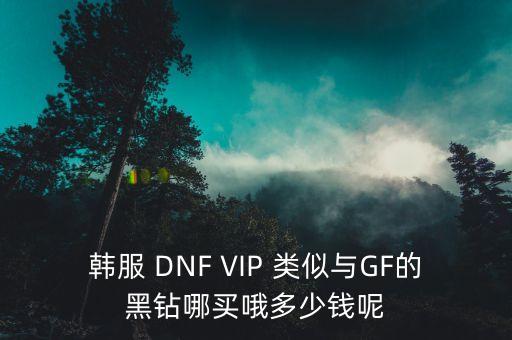 韩服 DNF VIP 类似与GF的黑钻哪买哦多少钱呢