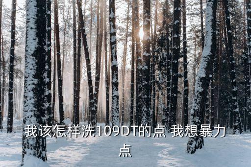 我该怎样洗109DT的点 我想暴力点