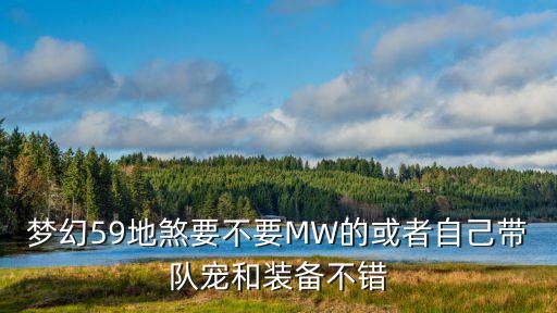 梦幻59地煞要不要MW的或者自己带队宠和装备不错