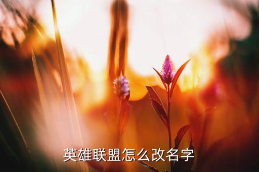 英雄联盟怎么改名字