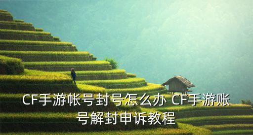 CF手游帐号封号怎么办 CF手游账号解封申诉教程