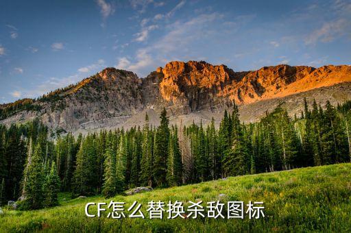 CF怎么替换杀敌图标