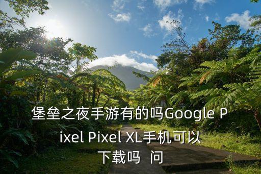 堡垒之夜手游有的吗Google Pixel Pixel XL手机可以下载吗  问