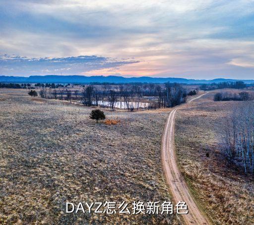 DAYZ怎么换新角色