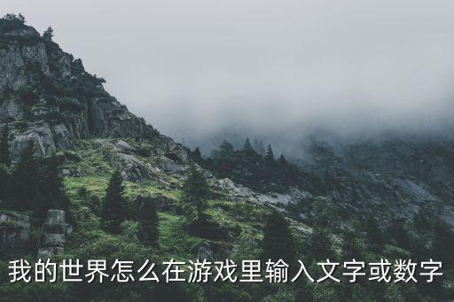 我的世界怎么在游戏里输入文字或数字