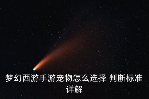 梦幻西游手游宠物怎么选择 判断标准详解