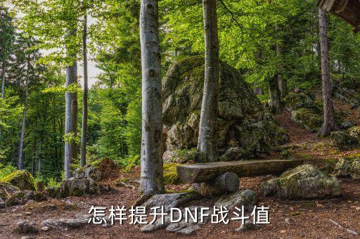 怎样提升DNF战斗值