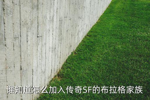 谁知道怎么加入传奇SF的布拉格家族