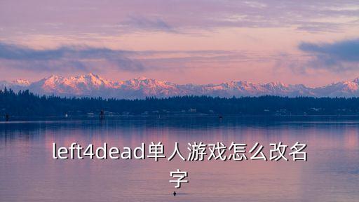 left4dead单人游戏怎么改名字