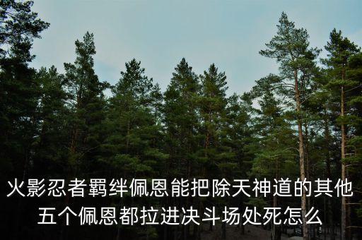 火影忍者羁绊佩恩能把除天神道的其他五个佩恩都拉进决斗场处死怎么