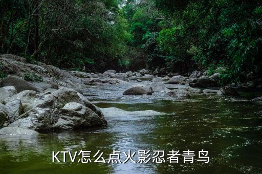 KTV怎么点火影忍者青鸟