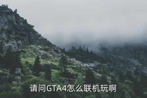 请问GTA4怎么联机玩啊