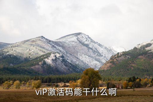 viP激活码能干什么啊