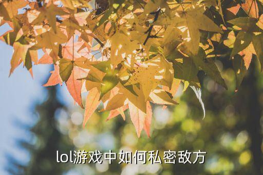 lol游戏中如何私密敌方