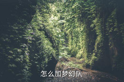 怎么加梦幻队