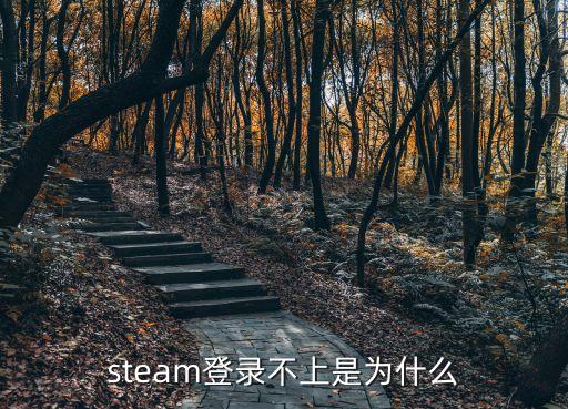 steam登录不上是为什么