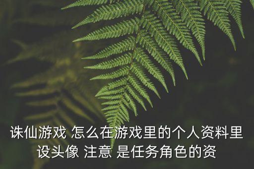 诛仙游戏 怎么在游戏里的个人资料里设头像 注意 是任务角色的资