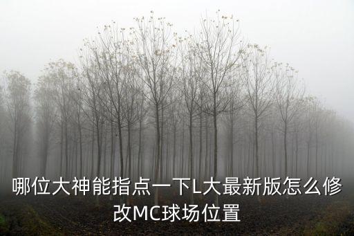 哪位大神能指点一下L大最新版怎么修改MC球场位置