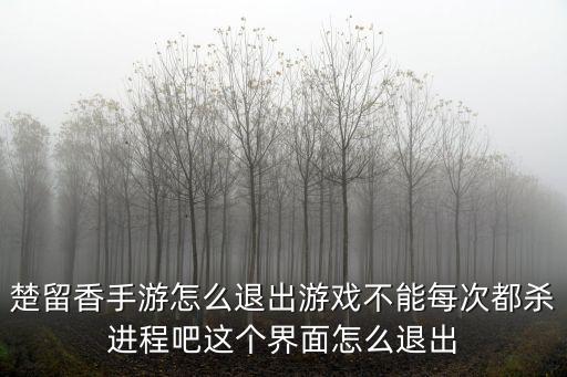 楚留香手游怎么退出游戏不能每次都杀进程吧这个界面怎么退出