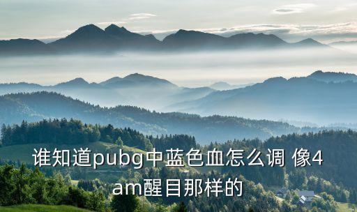 谁知道pubg中蓝色血怎么调 像4am醒目那样的