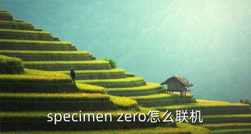 specimen zero怎么联机